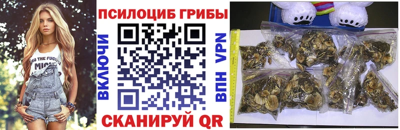 Галлюциногенные грибы Cubensis  Бикин 